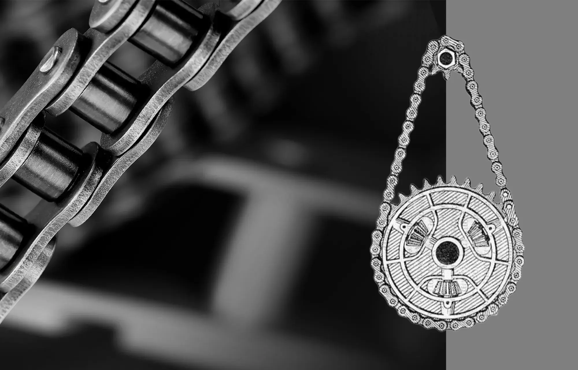Industrial transmission roller chain used as the visual background for chain selection